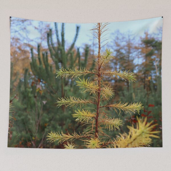 Item preview, Evergreen designed and sold by cuprum.