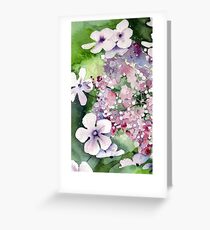 Lace Cap Hydrangea Greeting Card