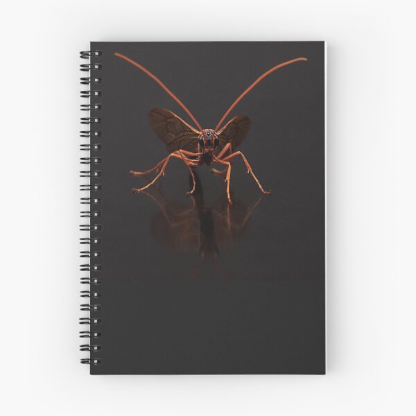 Item preview, Ophion ventricosus Portrait designed and sold by Dan Newton.
