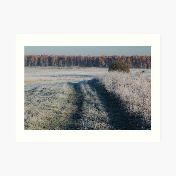 First frost and wild pathway in grassland Art Print