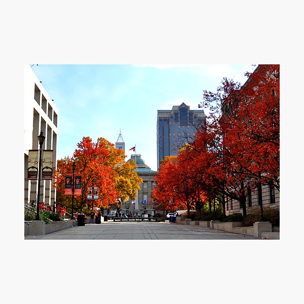 Autumn in Raleigh Photographic Print