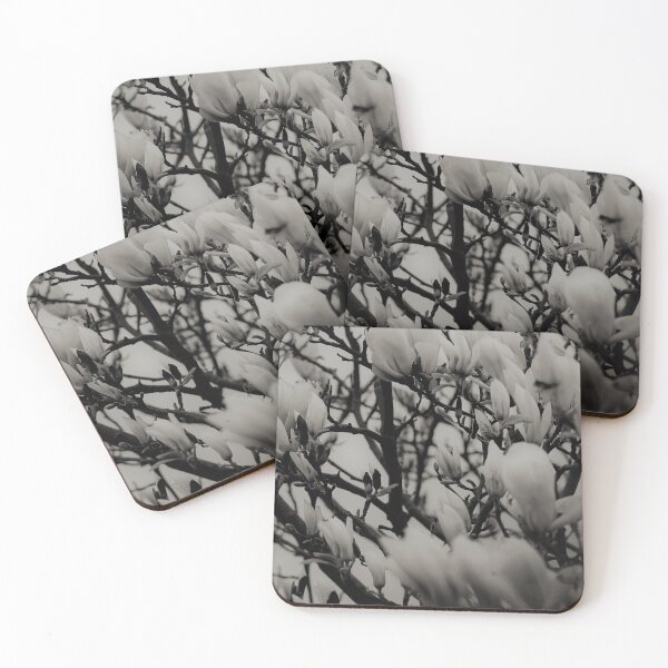 Item preview, Amazing magnolia tree blossom BW designed and sold by NatureGo.