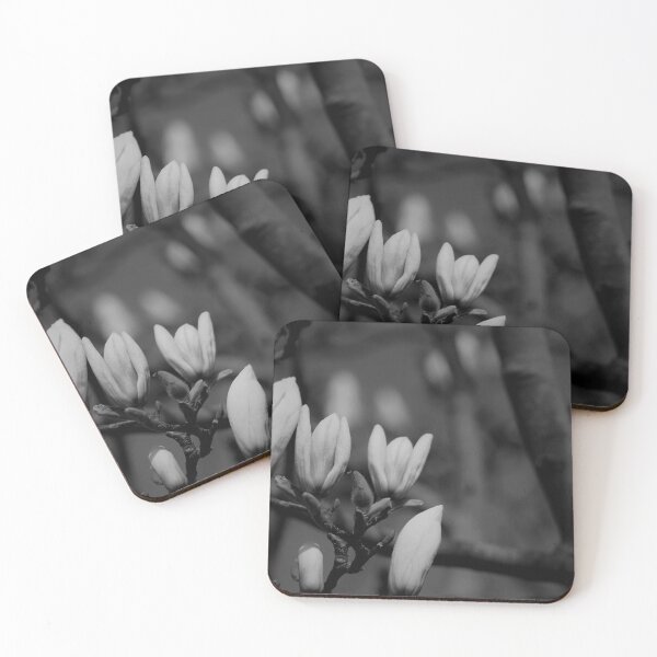 Item preview, Gorgeous magnolia buds BW designed and sold by NatureGo.