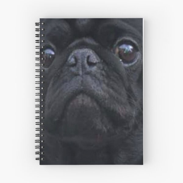Item preview, Black Pug Dog Face designed and sold by ltldragn.