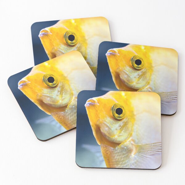 Item preview, Pterophyllum Scalare yellow angel fish head macro selective focus designed and sold by Grégory DUBUS.