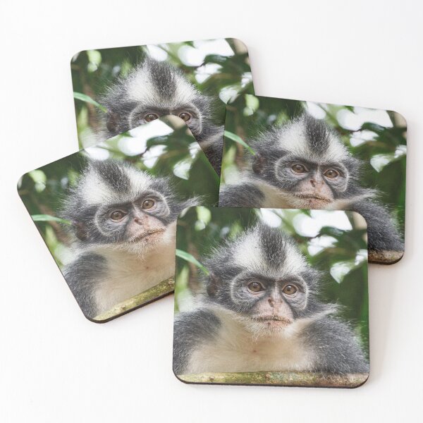 Item preview, "Funky Monkey" in portrait 4 of 5 designed and sold by Andreas Koerner.