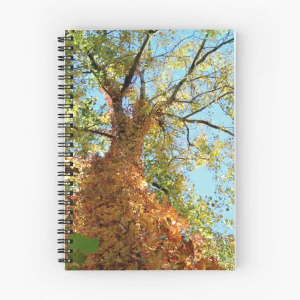 Artikelvorschau, Fall-Farbe, die Rebe auf Baum ändert entworfen und verkauft von anitahiltz.