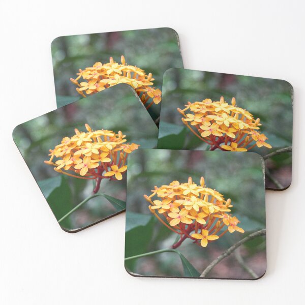 Item preview, "Ixora coccinea" designed and sold by Andreas Koerner.