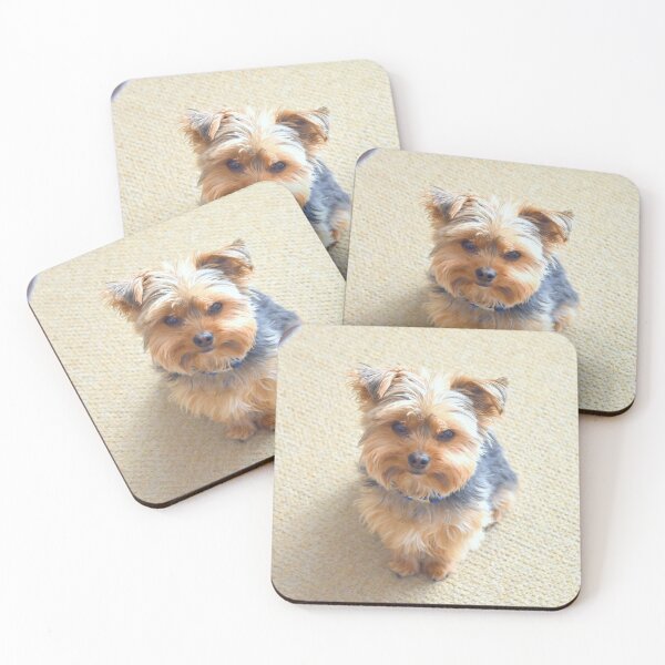 Item preview, Cute Yorkie Dog Sitting Pretty - Adorable Yorkshire Terrier designed and sold by Yorkie  Love.