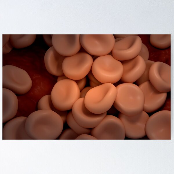 Item preview, STK700001H-Conceptual image of red blood cells. designed and sold by StocktrekImages.