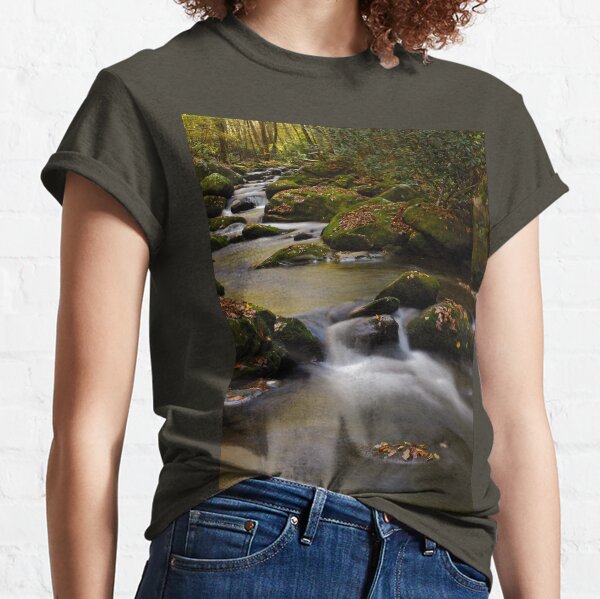 Stairsteps II Classic T-Shirt