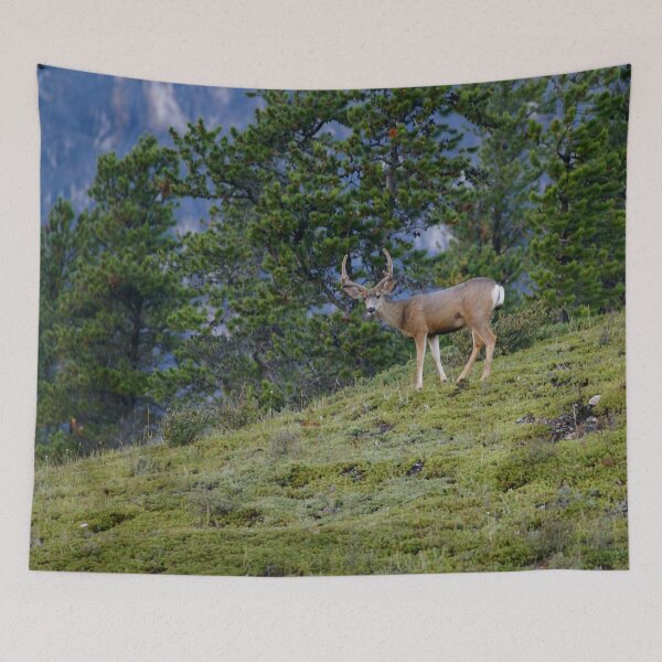 Item preview, Mule Deer Buck designed and sold by StevenElliot.