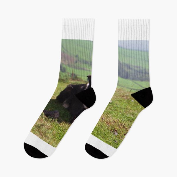 Item preview,  Indy: 19th March 1998 to 19th December 2011  designed and sold by Michael Haslam.