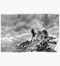 Surreal Photographer Poster