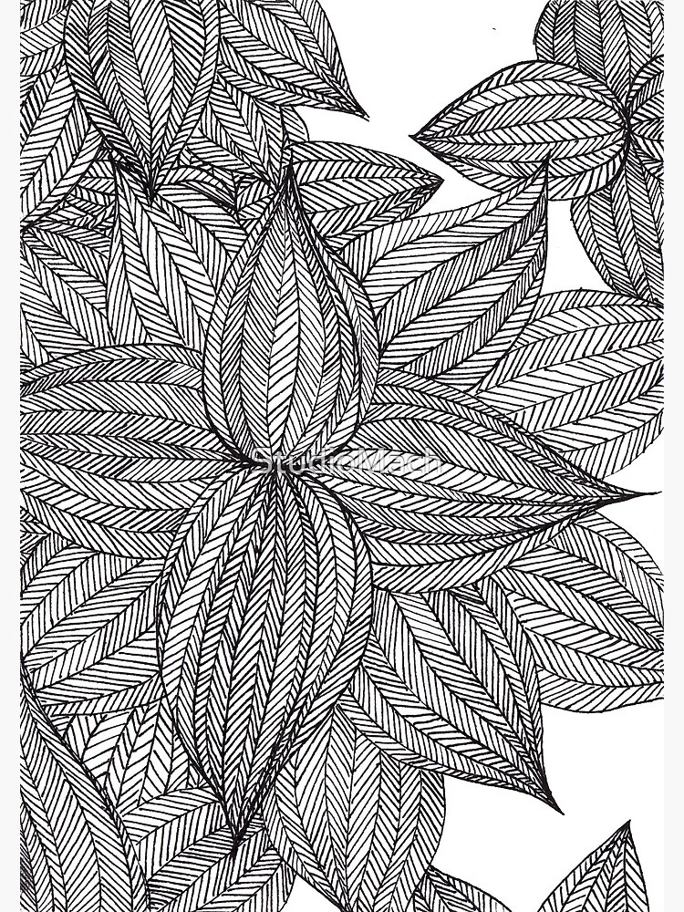 Botanical Wonders by StudioMach