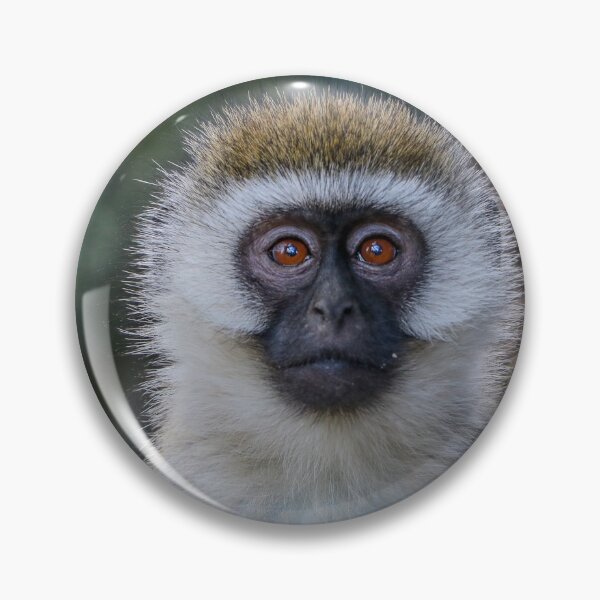 Item preview, Monkey Face designed and sold by polytyc.