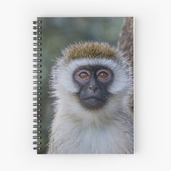 Item preview, Cara de mono designed and sold by polytyc.
