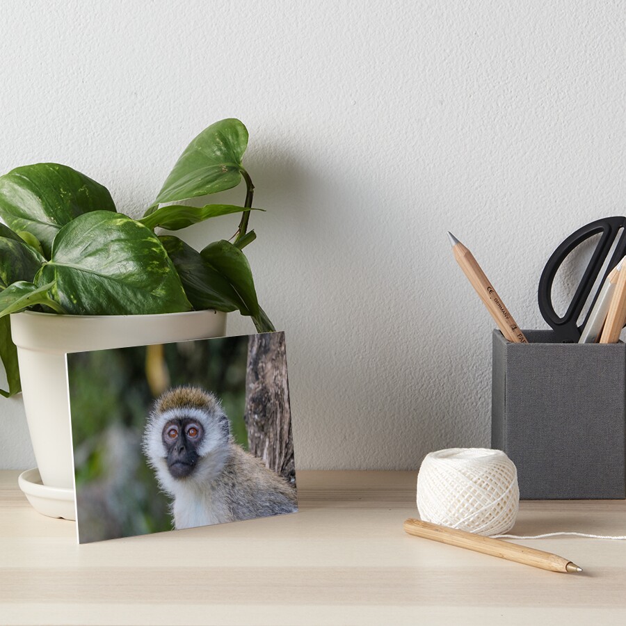 Item preview, Art Board Print designed and sold by polytyc.