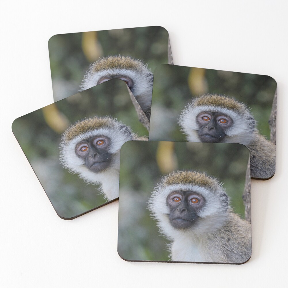 Item preview, Coasters (Set of 4) designed and sold by polytyc.