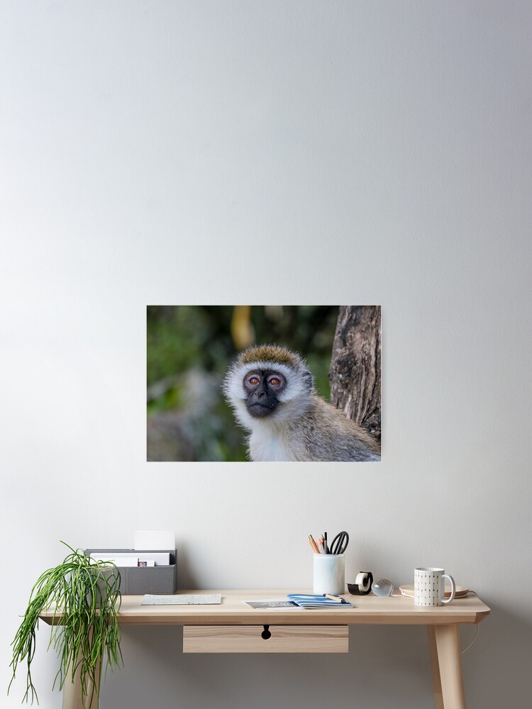 Thumbnail 2 of 3, Poster, Monkey Face designed and sold by polytyc.