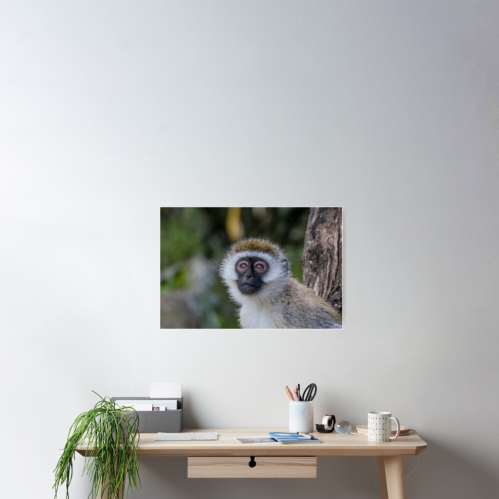 Item preview, Poster designed and sold by polytyc.
