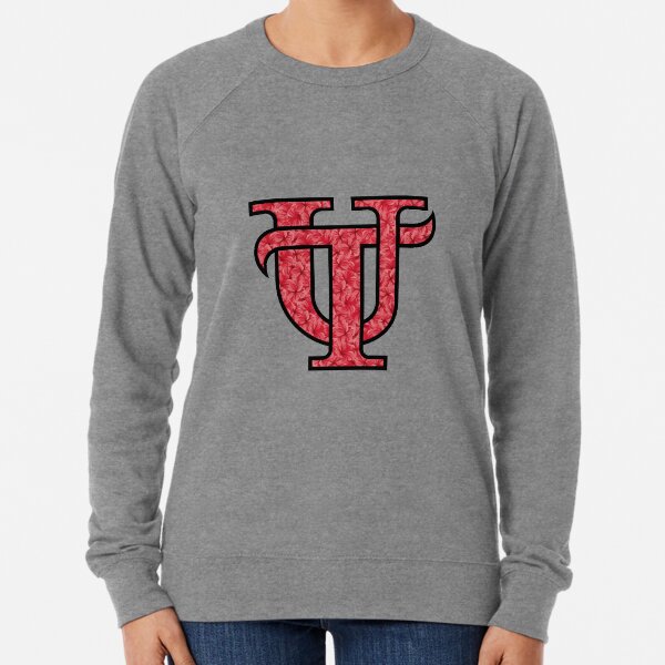 University Of Tampa Sweatshirts Hoodies Redbubble