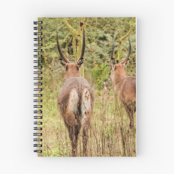 Item preview, Waterbuck designed and sold by polytyc.