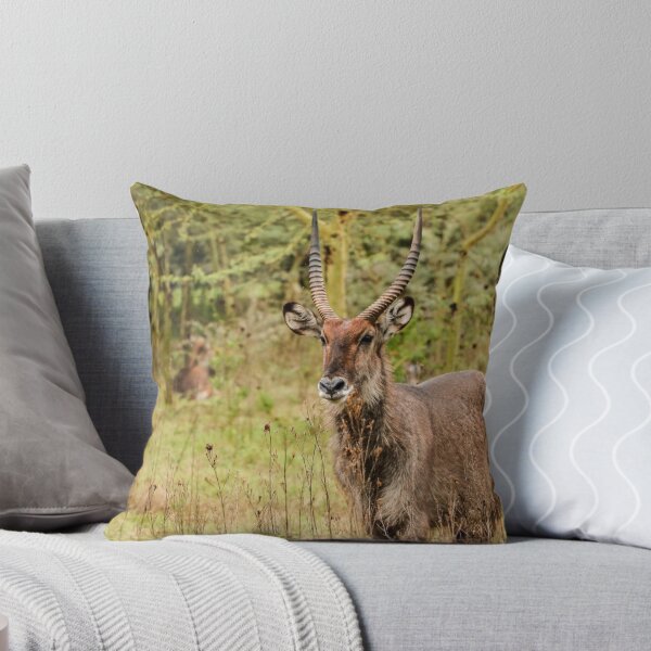 Item preview, Waterbuck designed and sold by polytyc.