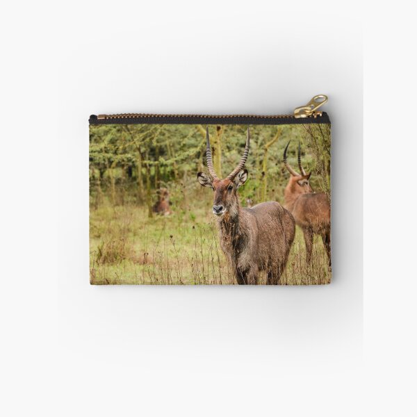 Item preview, Waterbuck designed and sold by polytyc.