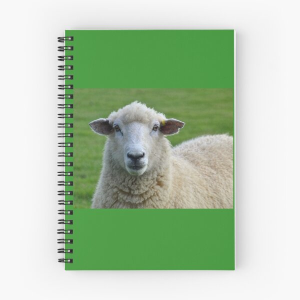 Item preview, Hello Ewe..........Dorset UK designed and sold by lynn carter.