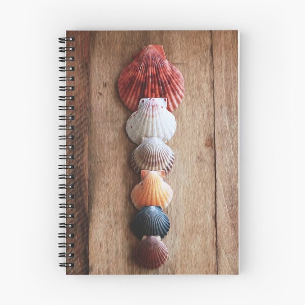 Item preview, Scallop Shells designed and sold by StampCity.