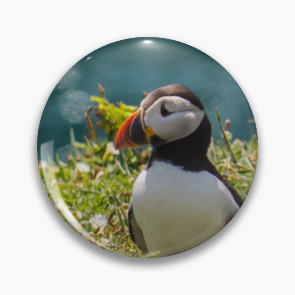 Item preview, Puffin! designed and sold by Dan Newton.