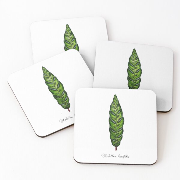 Item preview, Calathea lancifolia (Rattlesnake Calathea)  designed and sold by bluejayknits.