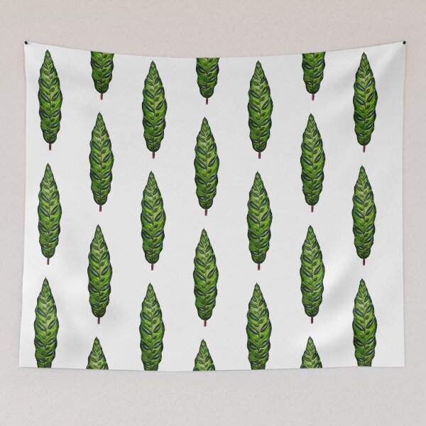 Item preview, Calathea lancifolia (Rattlesnake Calathea)  designed and sold by bluejayknits.