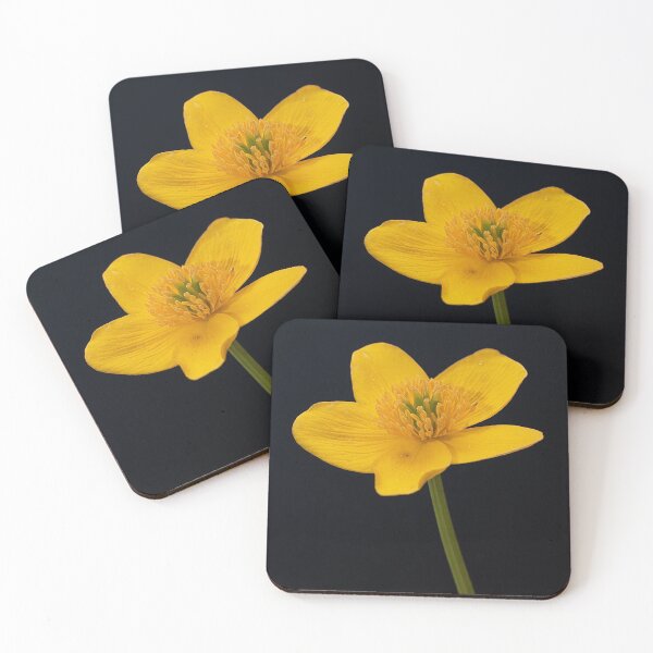 Artikelvorschau, Sumpfdotterblumen-Blumenporträt entworfen und verkauft von Dan Newton.