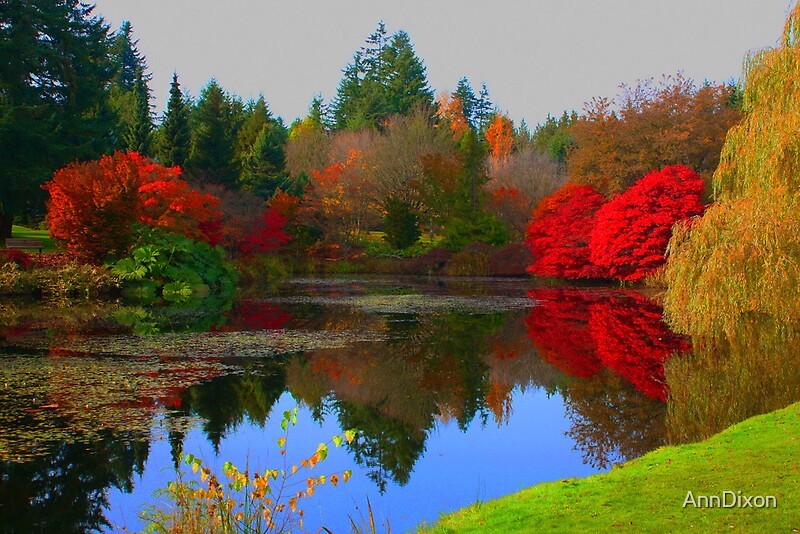 "VanDusen Botanical Gardens Vancouver, BC Canada" by AnnDixon | Redbubble