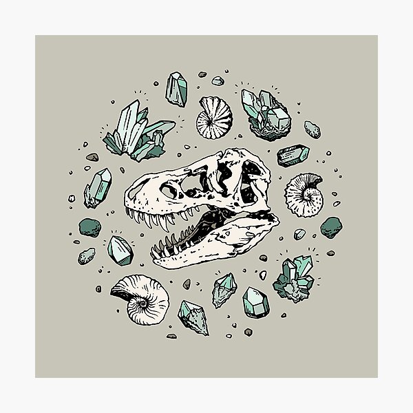 Artikel-Vorschau von Geo-Rex-Wirbel | Aquamarin | Dinosaurier-Schädel-Fossil-Kunst, designt und verkauft von OMEGAFAUNA.