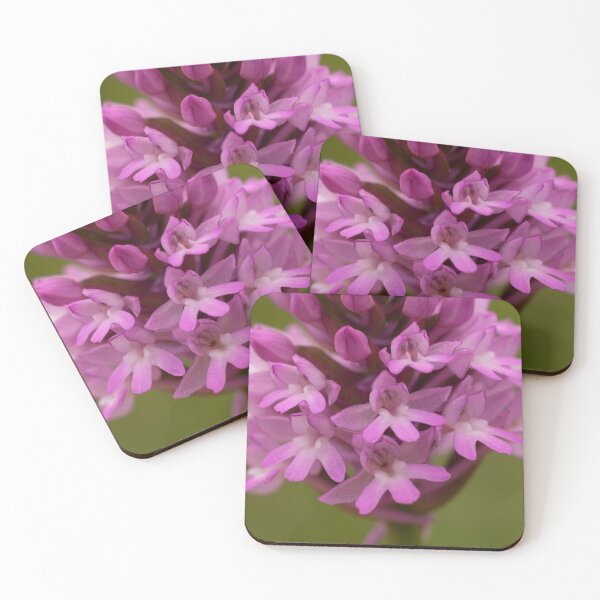 Item preview, Pyramidal Orchid Nature Photo designed and sold by Dan Newton.