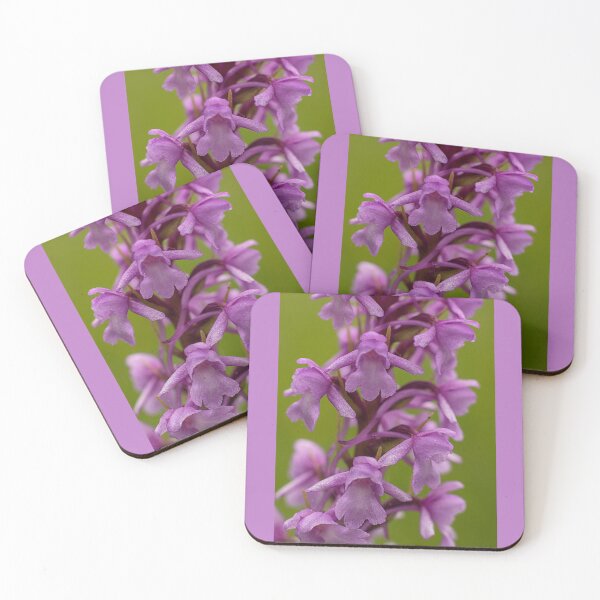 Item preview, Chalk Fragrant Orchid Photo designed and sold by Dan Newton.