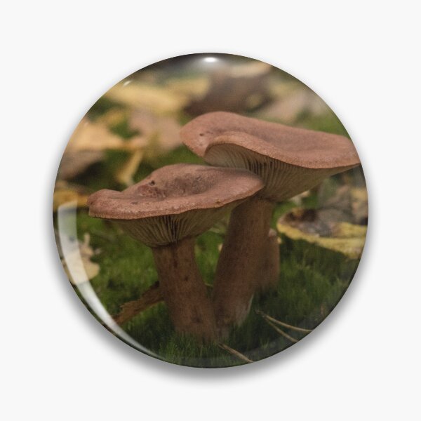 Item preview, Mushroom Fungi Nature Photo designed and sold by Dan Newton.