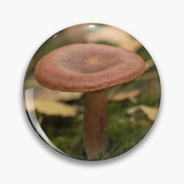 Item preview, Mushroom Fungi Nature Photo designed and sold by Dan Newton.
