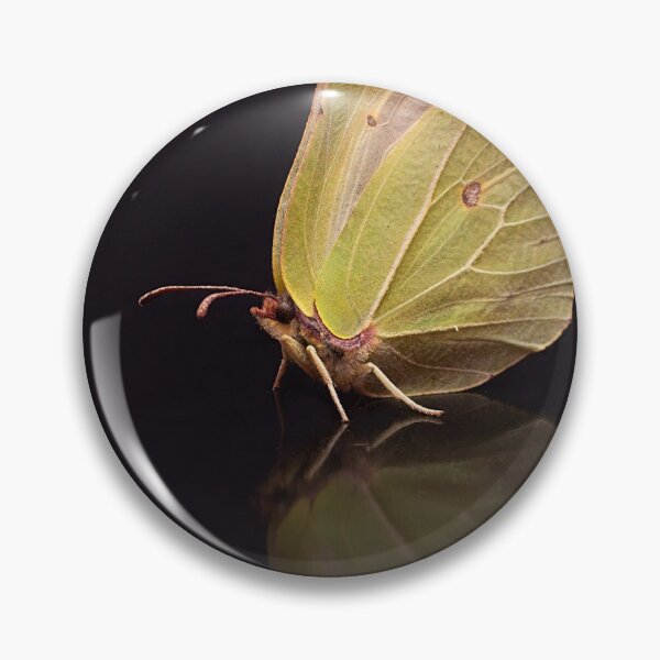 Item preview, Brimstone Butterfly Portrait designed and sold by Dan Newton.
