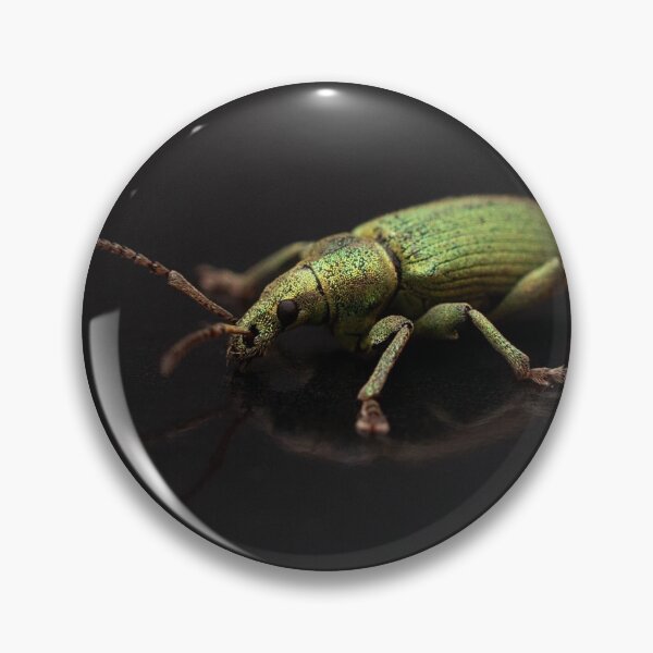 Item preview, Green Nettle Weevil Portrait designed and sold by Dan Newton.
