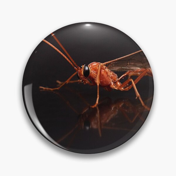 Item preview, Orange Ichneumon Wasp Portrait designed and sold by Dan Newton.
