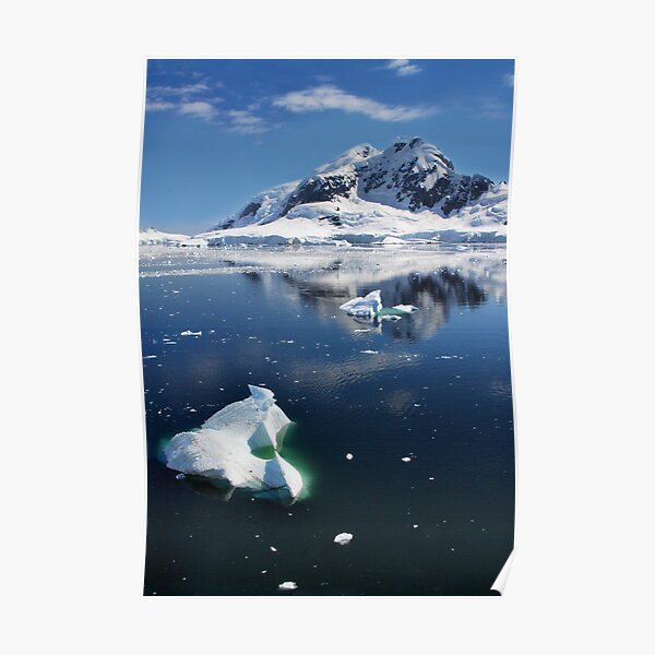 Majestical Antarctica Poster