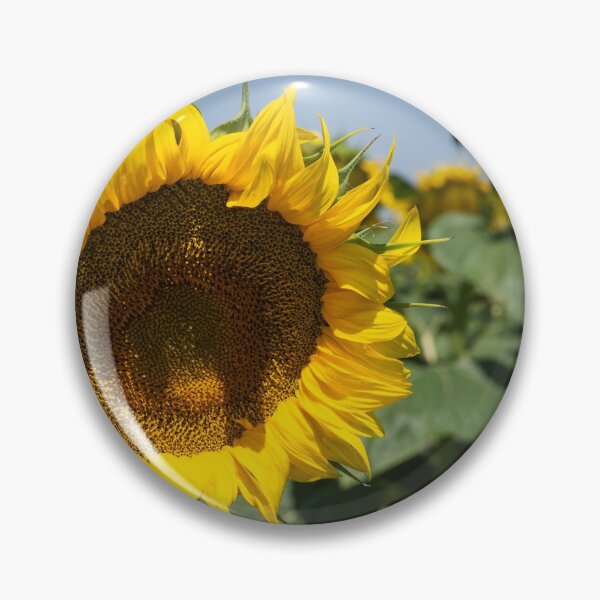 Item preview, Large sunflower head. designed and sold by Anne Scantlebury.