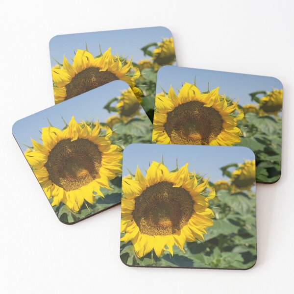 Item preview, Large sunflower head. designed and sold by Anne Scantlebury.