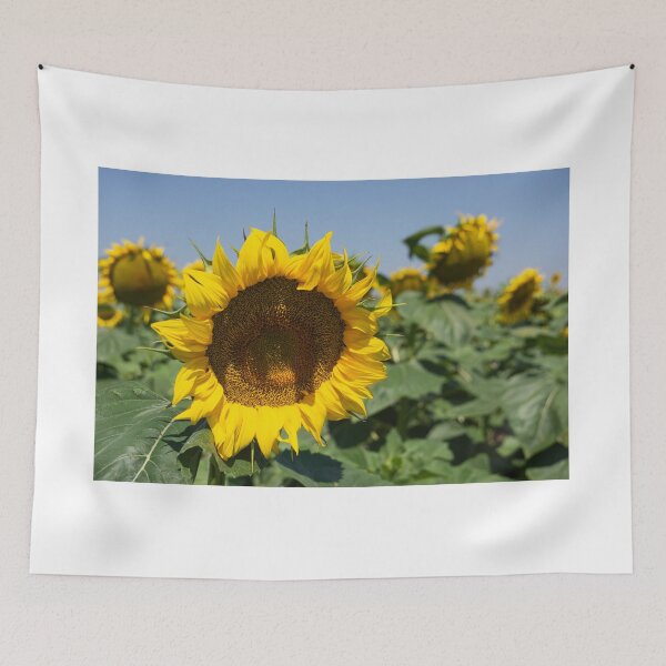 Item preview, Large sunflower head. designed and sold by Anne Scantlebury.