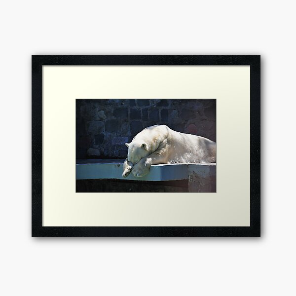 Sleeping polar bear Framed Art Print