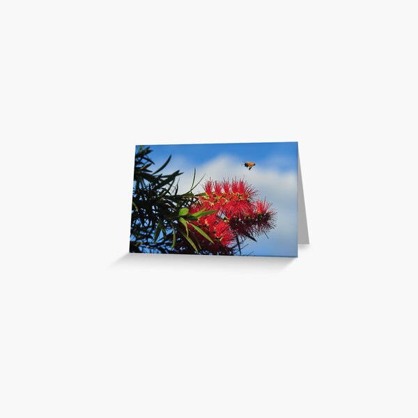 Bee on a mission Greeting Card